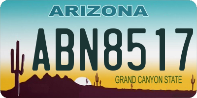 AZ license plate ABN8517