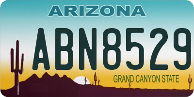 AZ license plate ABN8529