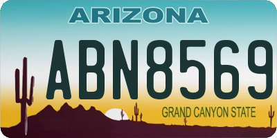 AZ license plate ABN8569