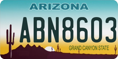 AZ license plate ABN8603