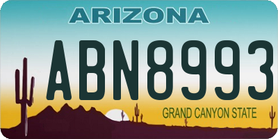 AZ license plate ABN8993