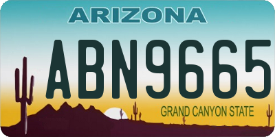 AZ license plate ABN9665