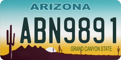 AZ license plate ABN9891