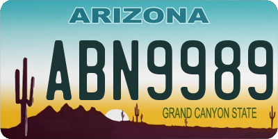 AZ license plate ABN9989