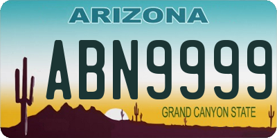 AZ license plate ABN9999