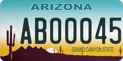 AZ license plate ABO0045