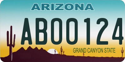 AZ license plate ABO0124