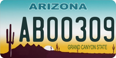 AZ license plate ABO0309