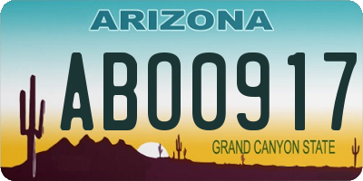 AZ license plate ABO0917