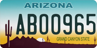 AZ license plate ABO0965