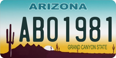 AZ license plate ABO1981