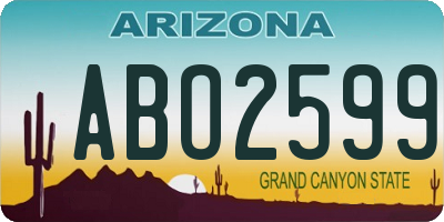 AZ license plate ABO2599