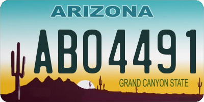 AZ license plate ABO4491