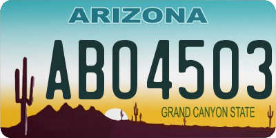 AZ license plate ABO4503