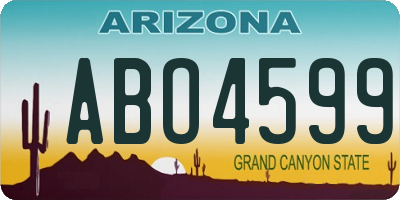 AZ license plate ABO4599