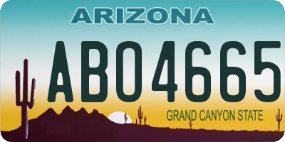 AZ license plate ABO4665