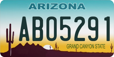 AZ license plate ABO5291