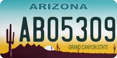 AZ license plate ABO5309