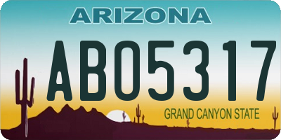 AZ license plate ABO5317