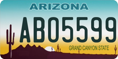 AZ license plate ABO5599