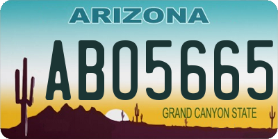 AZ license plate ABO5665