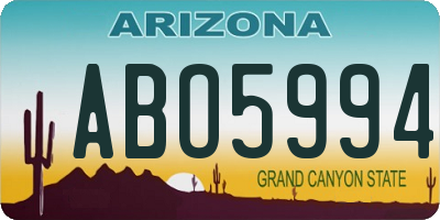 AZ license plate ABO5994