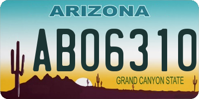 AZ license plate ABO6310