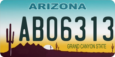 AZ license plate ABO6313
