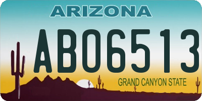 AZ license plate ABO6513