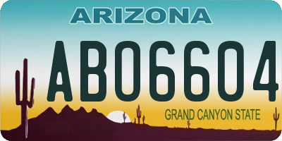 AZ license plate ABO6604