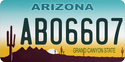 AZ license plate ABO6607