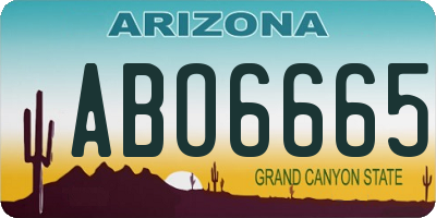 AZ license plate ABO6665