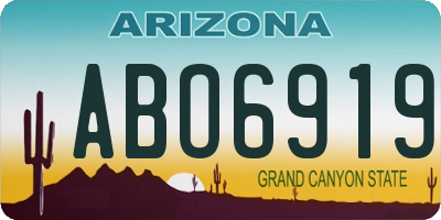AZ license plate ABO6919
