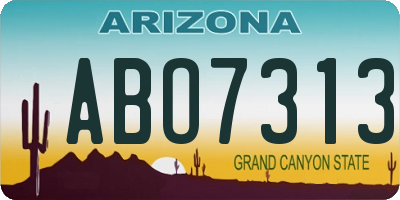 AZ license plate ABO7313