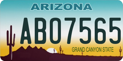 AZ license plate ABO7565