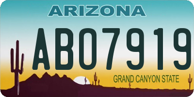 AZ license plate ABO7919