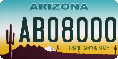 AZ license plate ABO8000