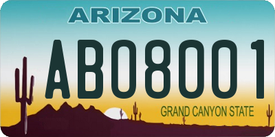 AZ license plate ABO8001