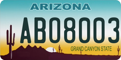 AZ license plate ABO8003