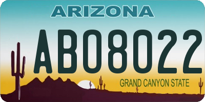 AZ license plate ABO8022