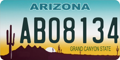 AZ license plate ABO8134