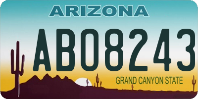 AZ license plate ABO8243
