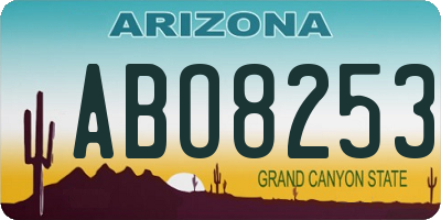 AZ license plate ABO8253