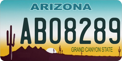 AZ license plate ABO8289