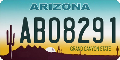 AZ license plate ABO8291