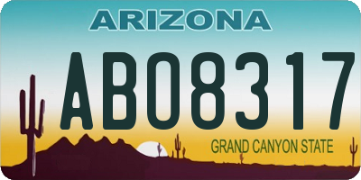 AZ license plate ABO8317