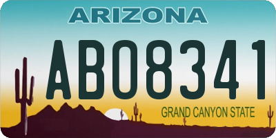 AZ license plate ABO8341