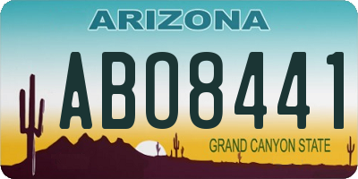 AZ license plate ABO8441
