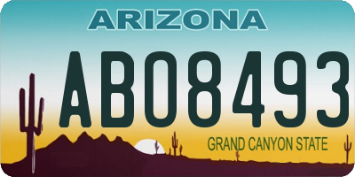 AZ license plate ABO8493