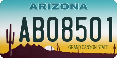 AZ license plate ABO8501
